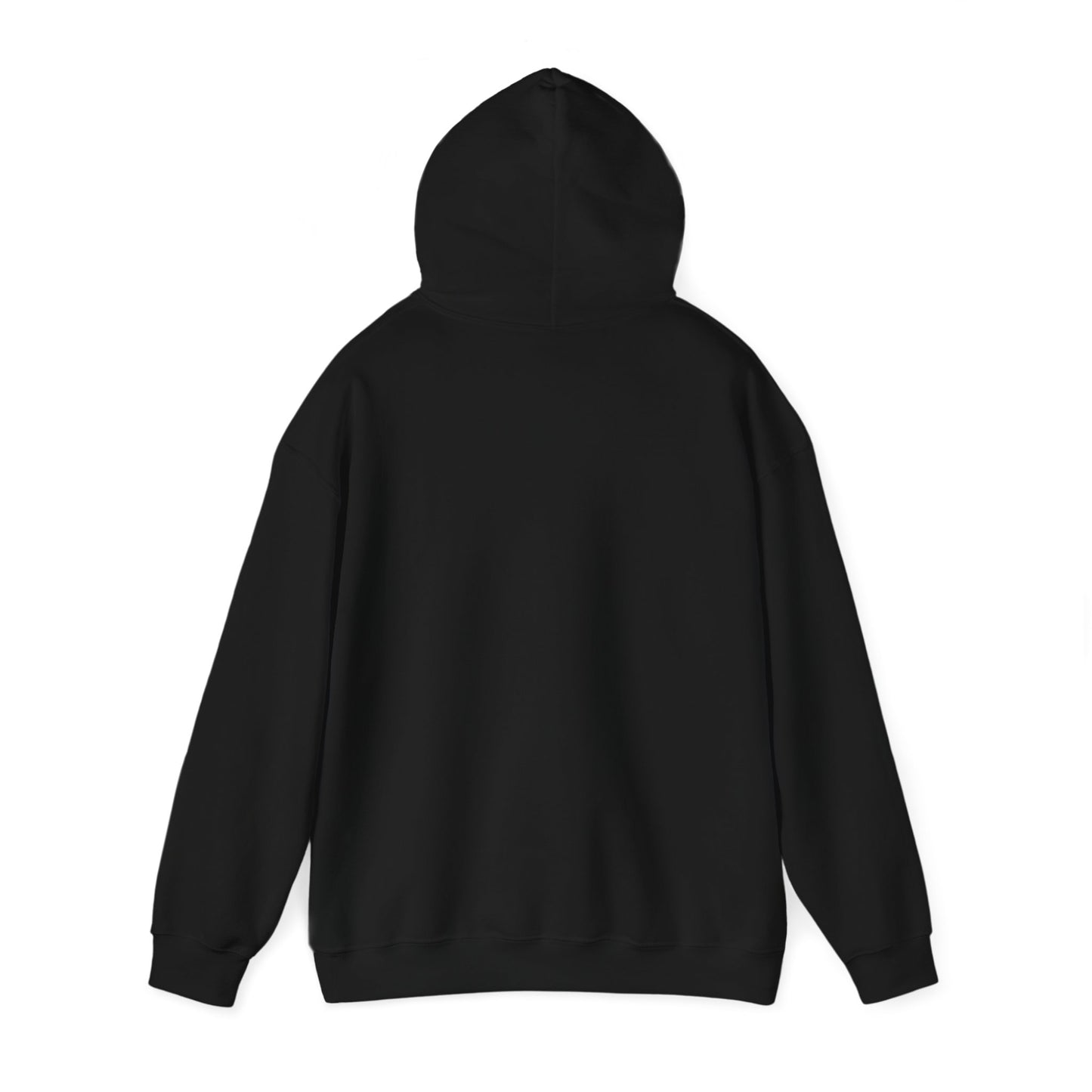 *Eye in the Sky* Hoodie